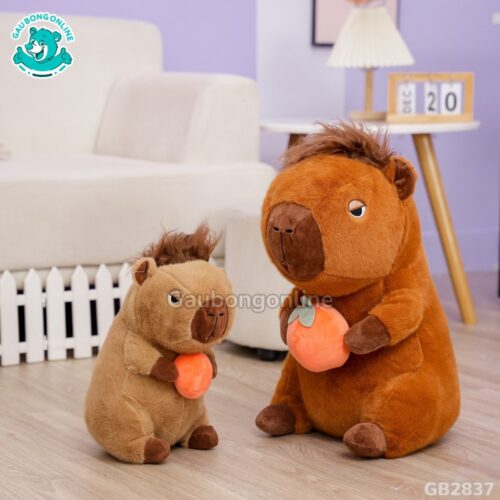 Capybara Có Tóc Ôm Quả dễ thương