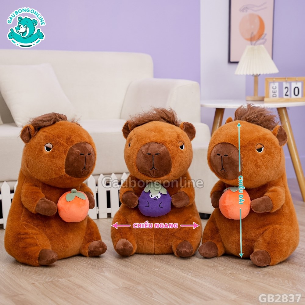 Cách đo kích thước của Capybara Có Tóc Ôm Quả