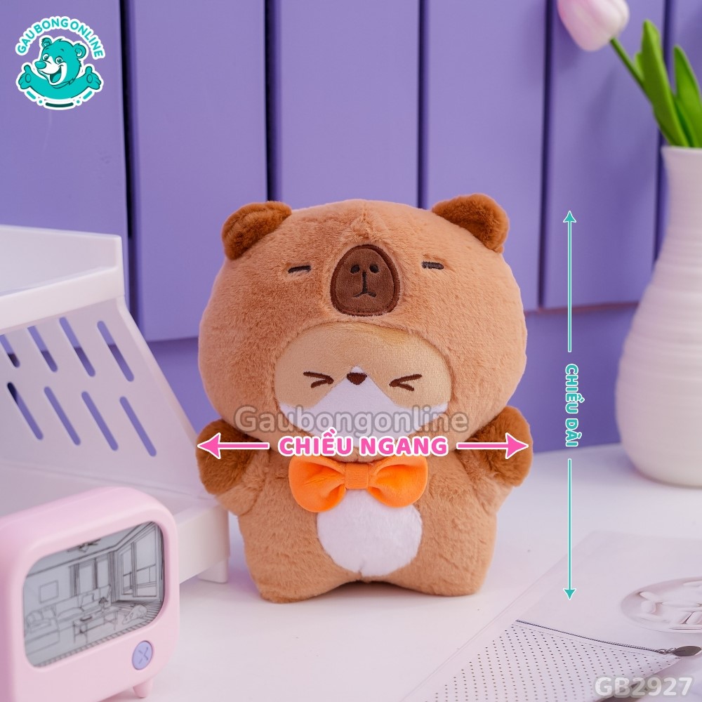 Cách đo kích thước của Chuột Capybara Cosplay Corgi Đeo Nơ