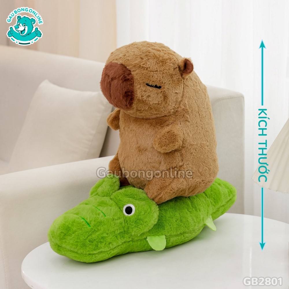 Cách đo kích thước của Chuột Capybara Cưỡi Cá Sấu