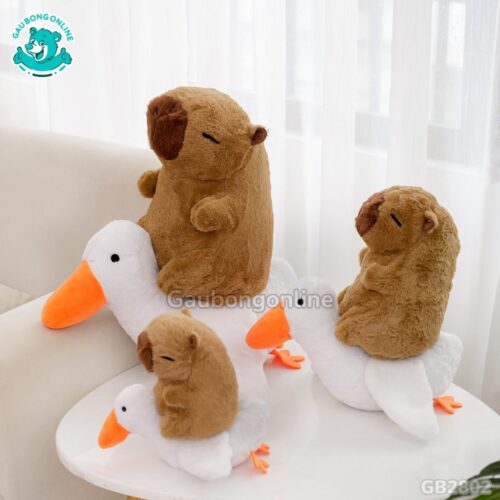 Chuột Capybara Cưỡi Vịt đa dạng kích thước