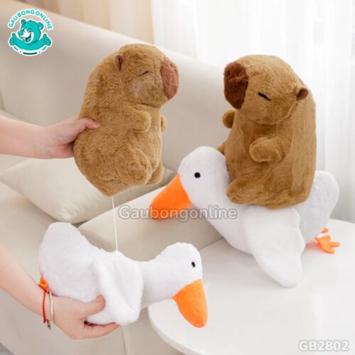 Chuột Capybara Cưỡi Vịt dễ thương
