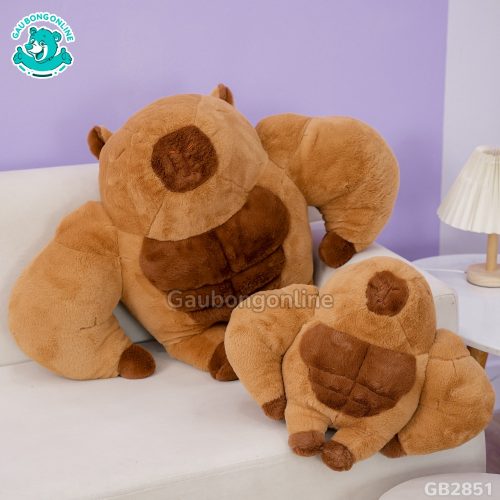 Chuột Capybara Lực Sĩ 6 Múi