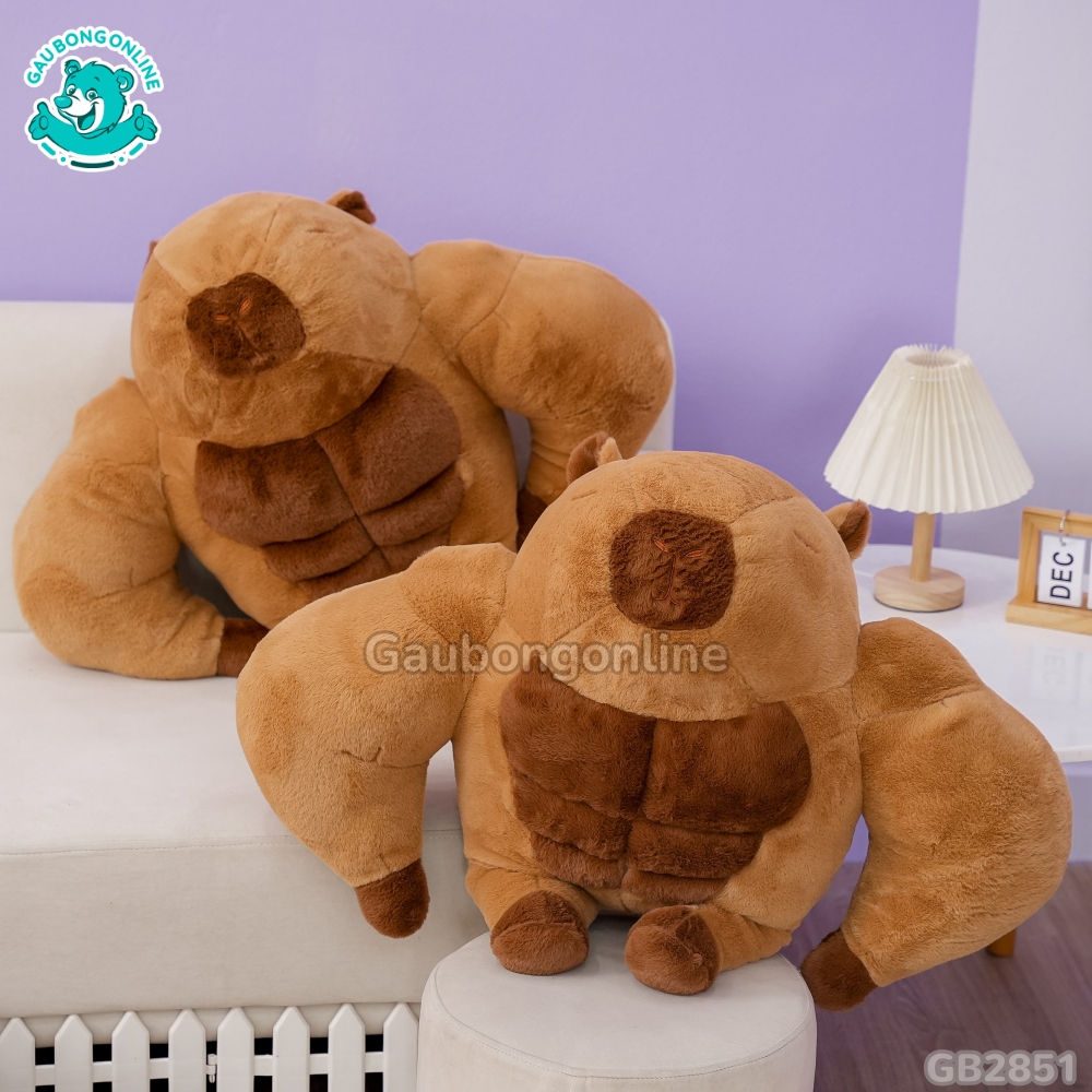 Chuột Capybara Lực Sĩ 6 Múi