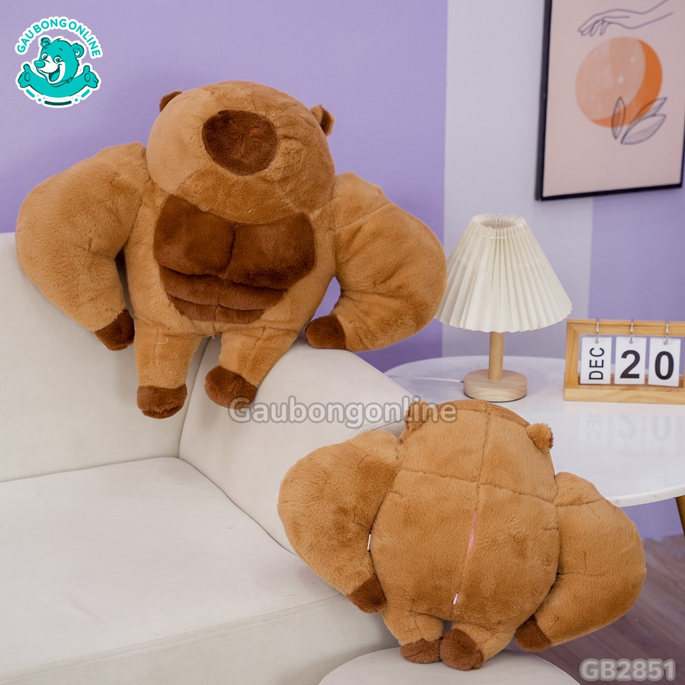 Chuột Capybara Lực Sĩ 6 Múi