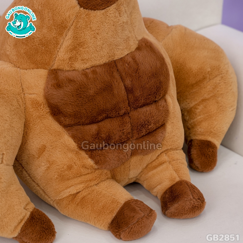 Chuột Capybara Lực Sĩ 6 Múi