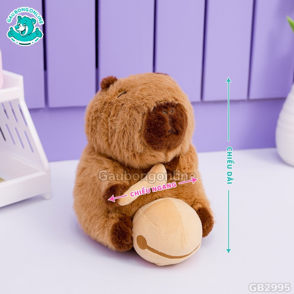 Chuột Capybara Gõ Mõ