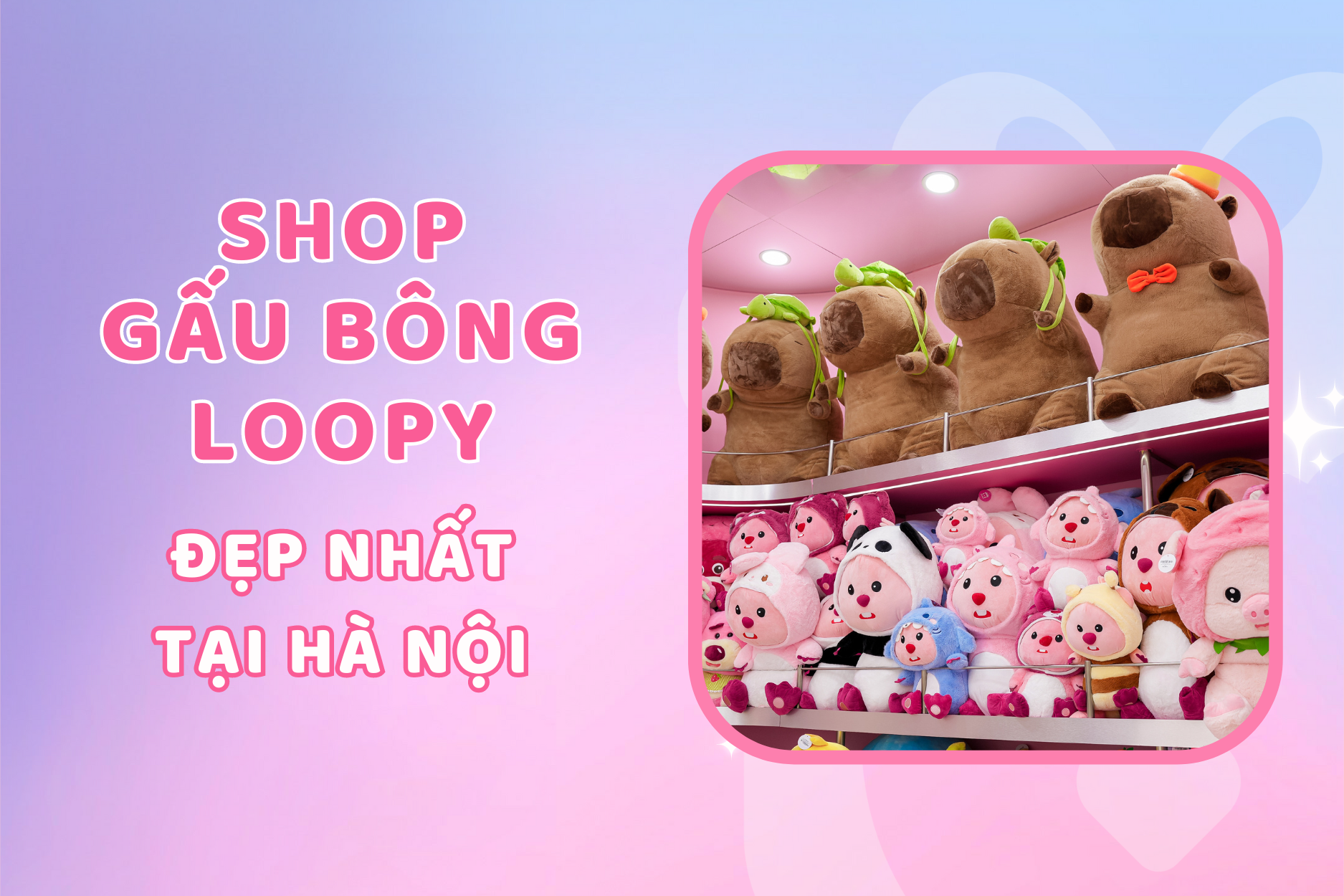 Săn Lùng Shop Gấu Bông Loopy Đẹp Nhất Tại Hà Nội