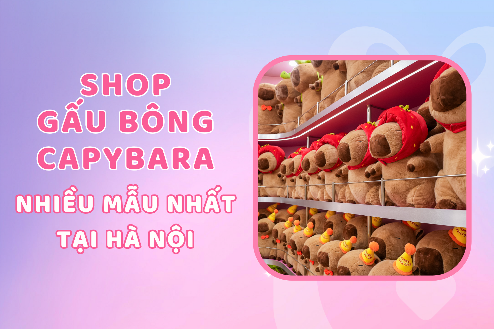 Top 3 Shop Gấu Bông Capybara Nhiều Mẫu Nhất Tại Hà Nội