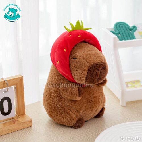 Bộ Capybara Thú – Dâu