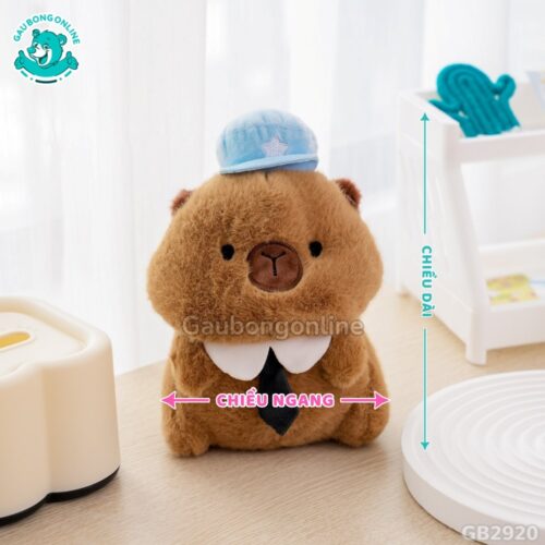 Cách đo kích thước của Capybara Áo Thủy Thủ