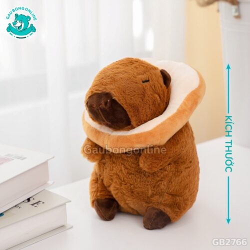 Cách đo kích thước của Chuột Capybara Bánh Mì