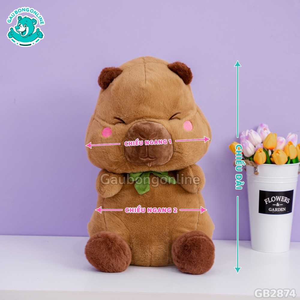 Cách đo kích thước của Chuột Capybara Đeo Túi Ếch