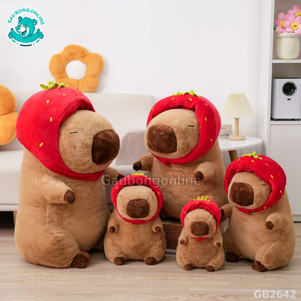 Chuột Capybara Đội Mũ Dâu đã được bán tại Gấu Bông Online