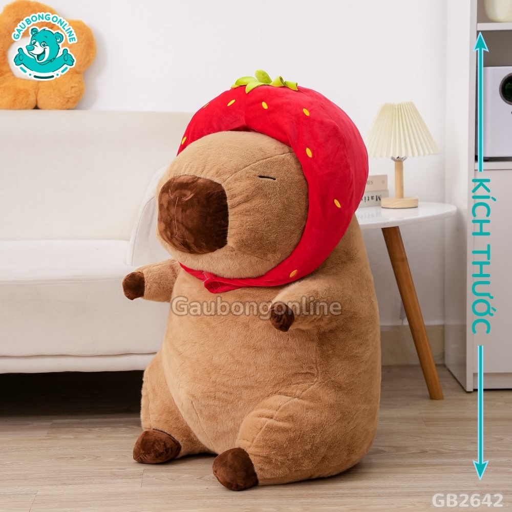 Cách đo kích thước của Chuột Capybara Đội Mũ Dâu