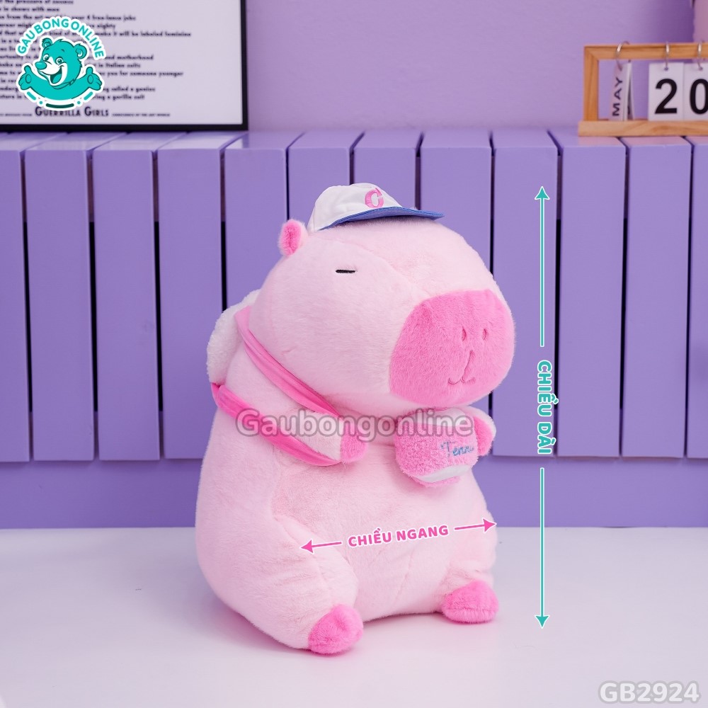 Cách đo kích thước của Chuột Capybara Hồng Rút Bóng
