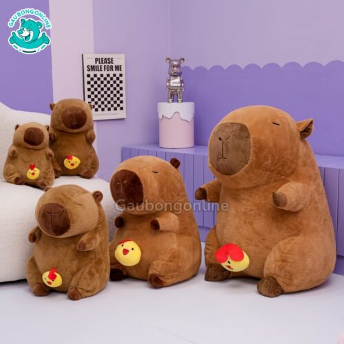 Chuột Capybara Rút Gà đa dạng kích thước