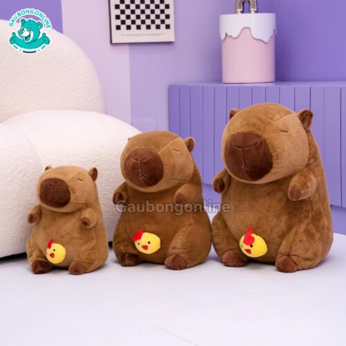 Chuột Capybara Rút Gà nhiều kích thước cho bạn lựa chọn