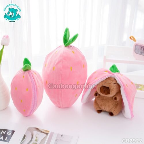 Chuột Capybara Trái Cây 2in1 – Quả Dâu đã được bán tại Gấu Bông Online