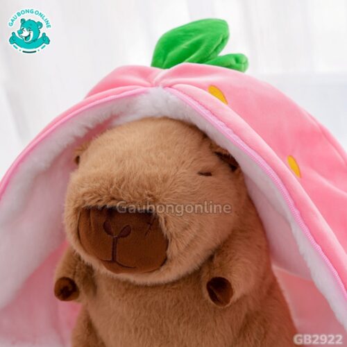 Chuột Capybara Trái Cây 2in1 – Quả Dâu mềm mịn, dễ thương