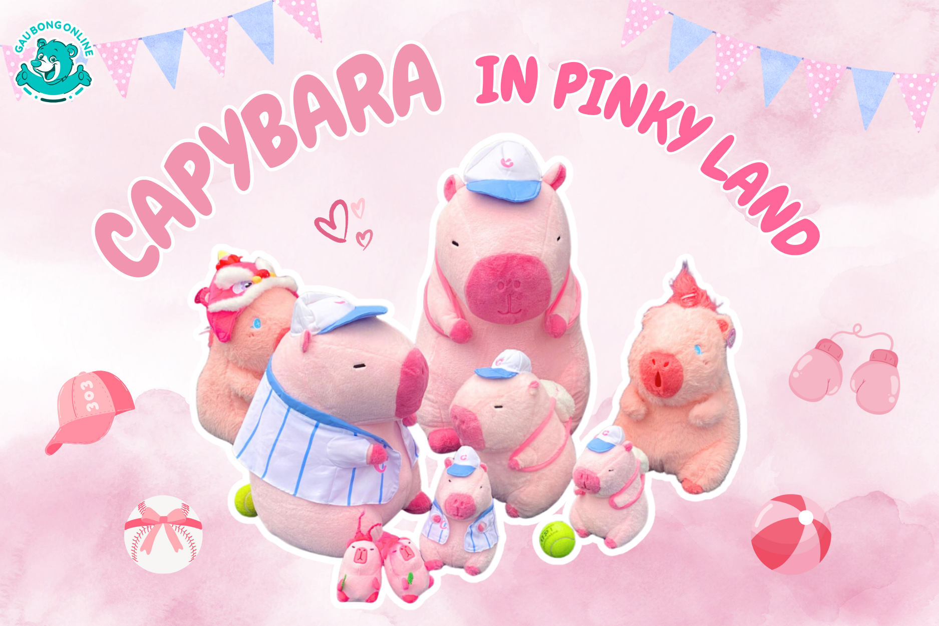 Bộ Sưu Tập Capybara Hồng - Capybara In Pinky Land