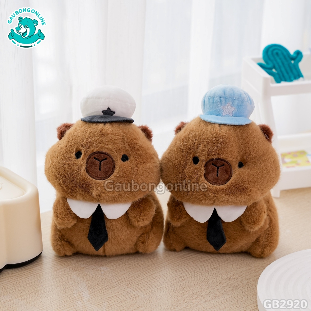 Capybara Áo Thủy Thủ