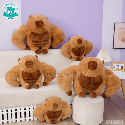 Chuột Capybara Lực Sĩ 6 Múi đã được bán tại Gấu Bông Online