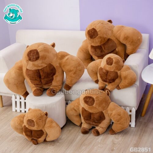 Chuột Capybara Lực Sĩ 6 Múi đa dạng kích thước