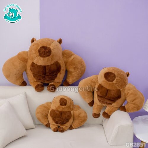 Chuột Capybara Lực Sĩ 6 Múi làm đồ trang trí phòng ngủ