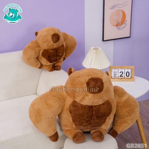 Chuột Capybara Lực Sĩ 6 Múi mềm mại