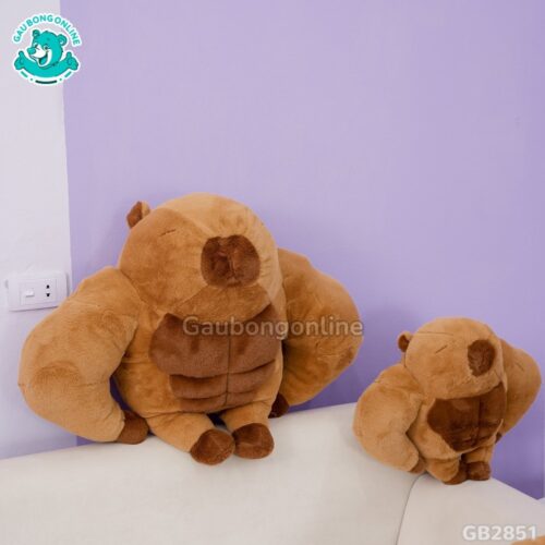 Chuột Capybara Lực Sĩ 6 Múi nhồi bông êm ái