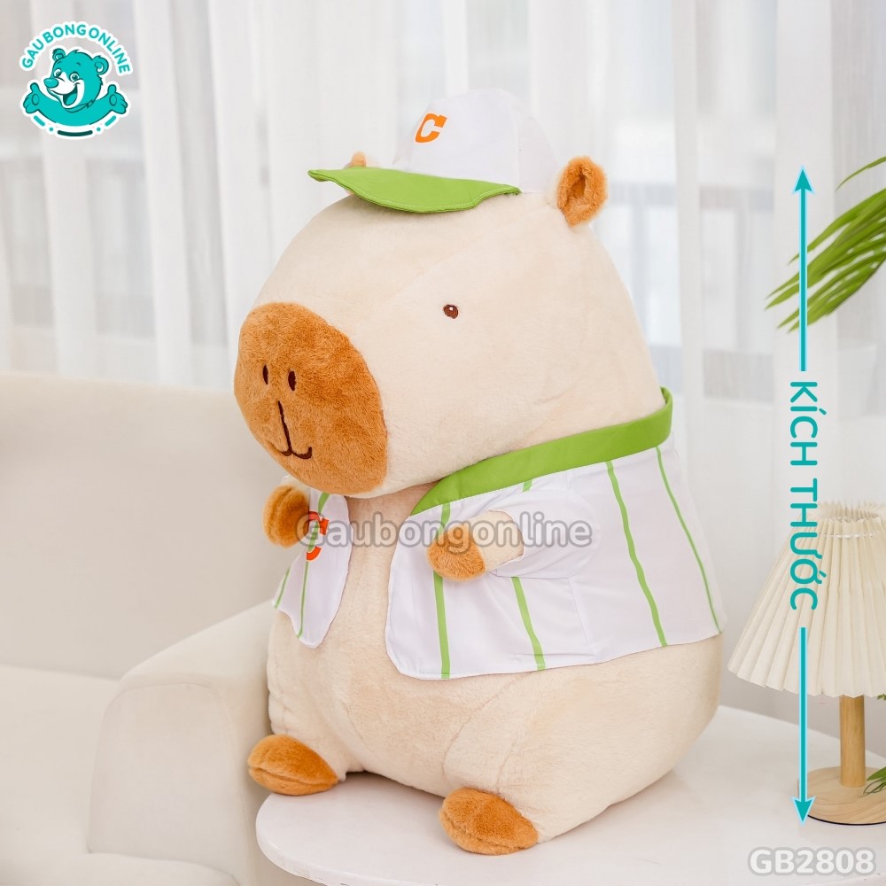 Cách đo kích thước của Chuột Capybara Mặc Áo