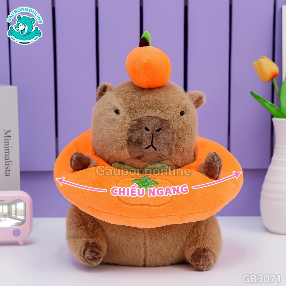 Cách đo kích thước của Chuột Capybara Mặc Áo Quả Hồng