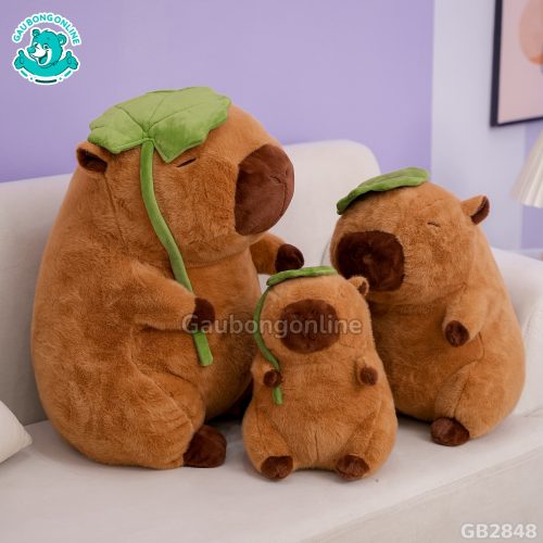 Capybara Cầm Lá