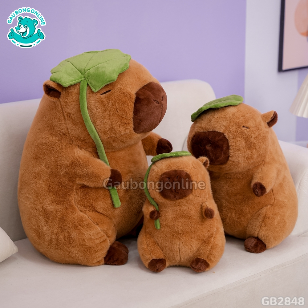 Capybara Cầm Lá