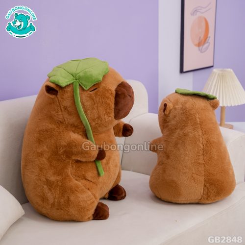 Capybara Cầm Lá