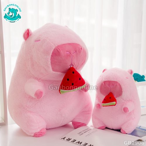 Chuột Capybara Hồng Rút Dưa Hấu