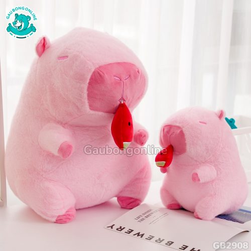 Chuột Capybara Hồng Rút Dưa Hấu