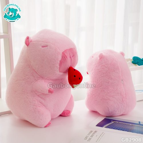 Chuột Capybara Hồng Rút Dưa Hấu