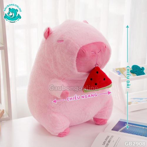 Chuột Capybara Hồng Rút Dưa Hấu