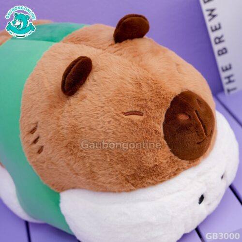 Chuột Capybara Sushi
