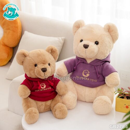 Gấu Mặc Áo Nỉ 2 màu sắc xinh xắn