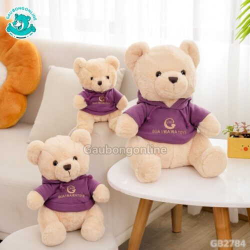 Gấu Mặc Áo Nỉ đa dạng kích thước