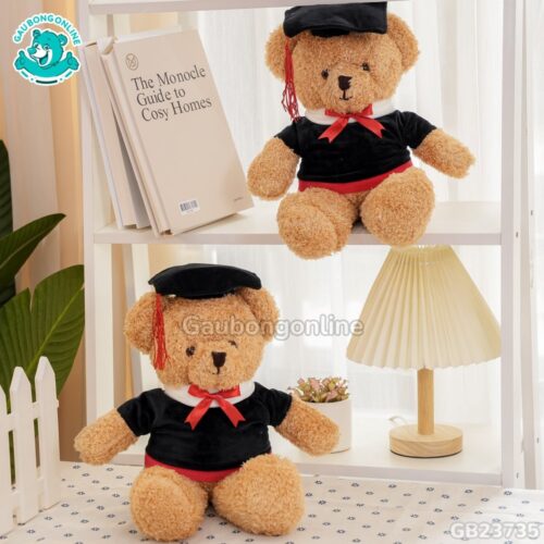 Gấu Bông Head Tales Tốt Nghiệp trang trí kệ sách