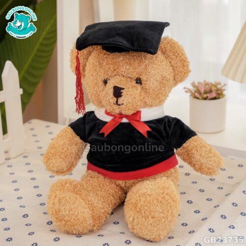 Gấu Bông Head Tales Tốt Nghiệp dễ thương