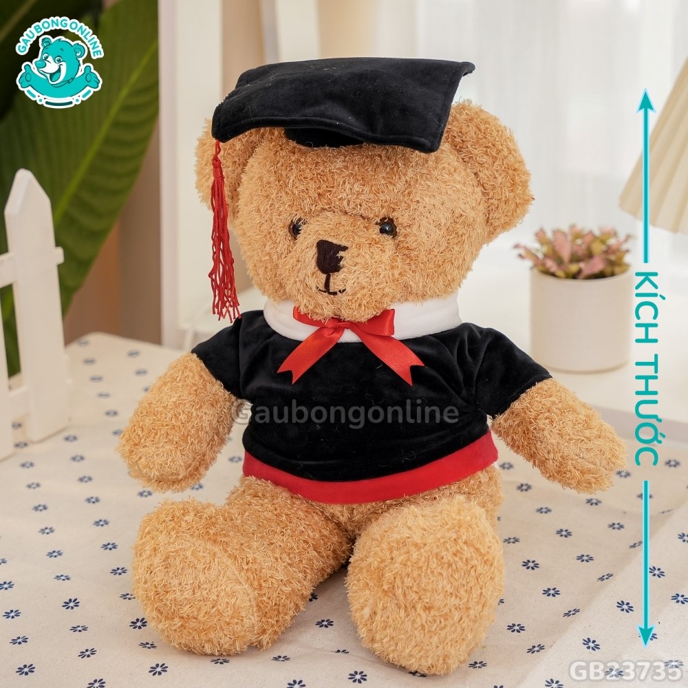 Gấu Bông Head Tales Tốt Nghiệp dễ thương