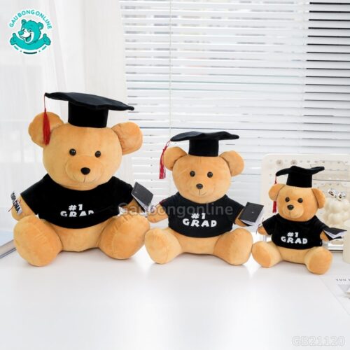 Gấu Tốt Nghiệp