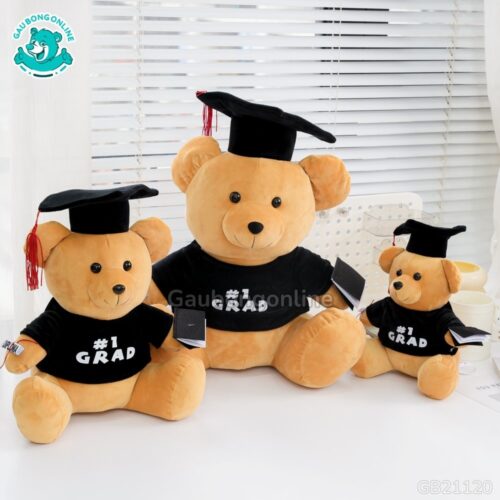 Gấu Tốt Nghiệp
