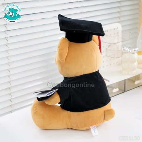 Gấu Tốt Nghiệp