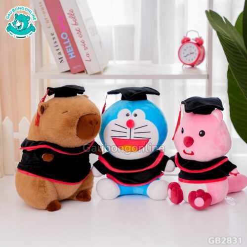 Gấu Tốt Nghiệp Hoạt Hình cho học sinh, sinh viên